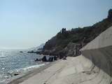 DSC00183-1.jpg